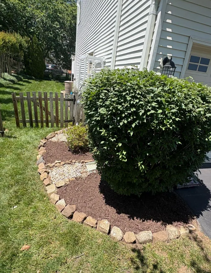 Black mulch bed installed under a mature evergreen beside a pool patio
